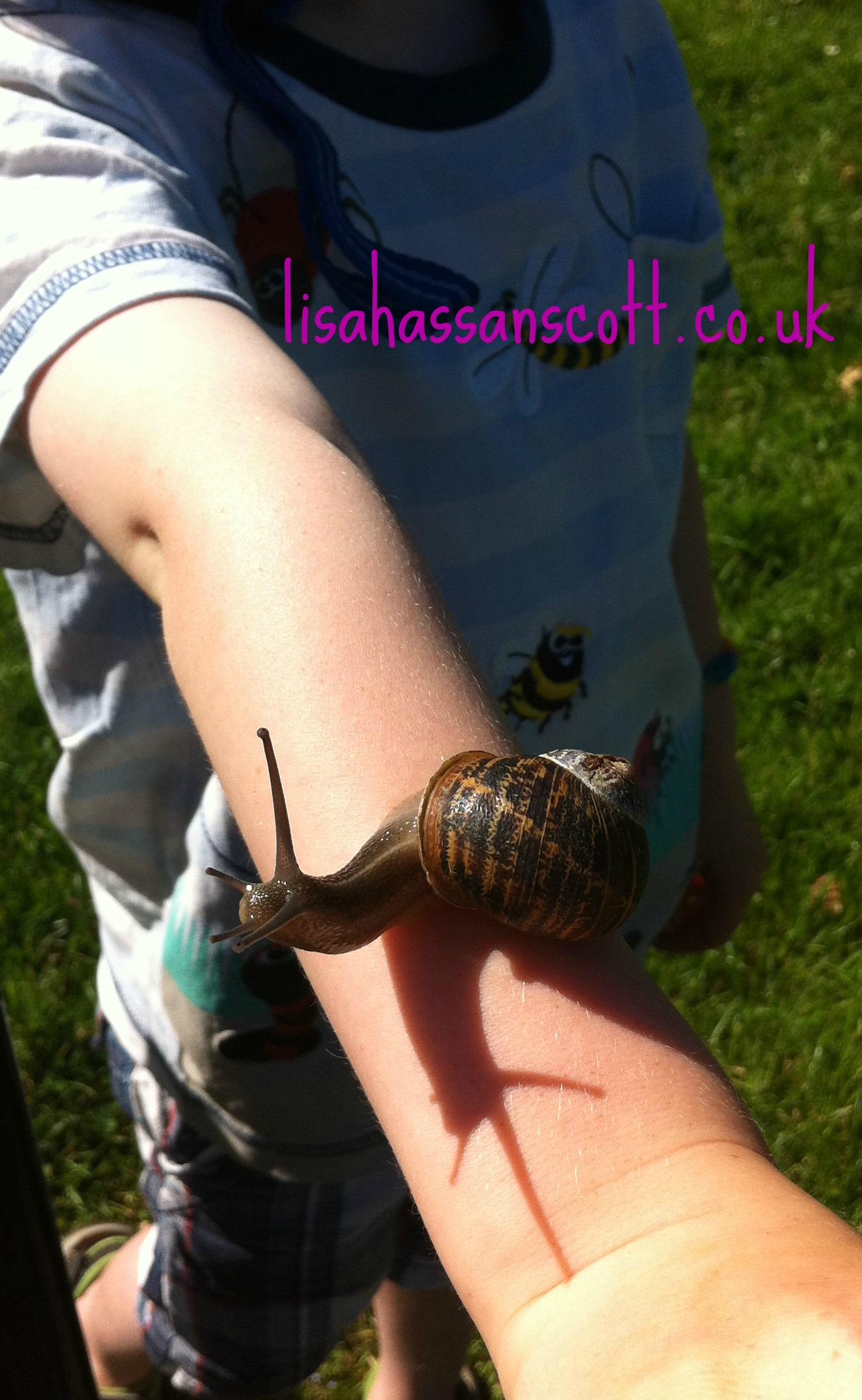 snail arm